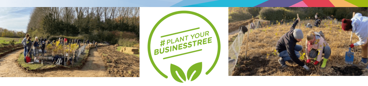 Plantez un arbre d'entreprise !